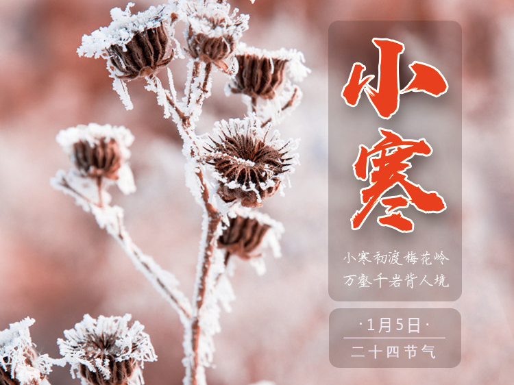 小寒时节，上海时科送祝福给大家！